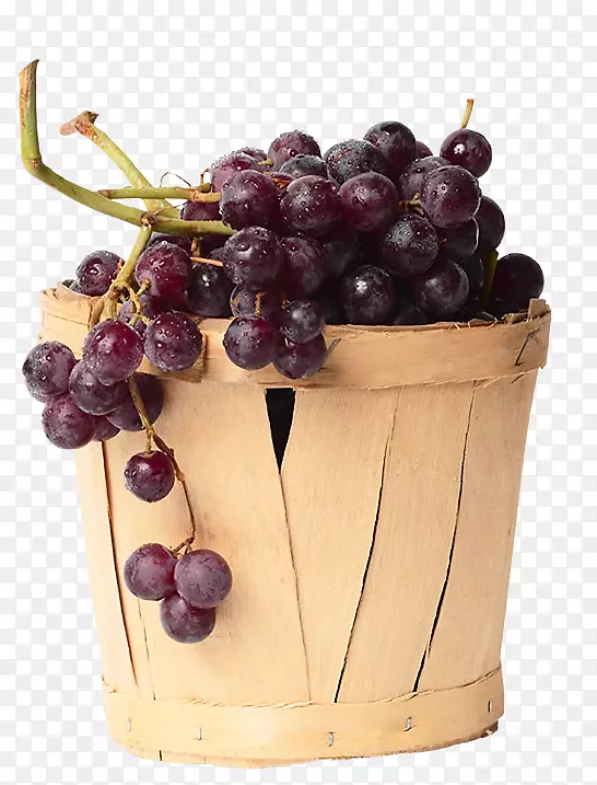 葡萄果实浆果载体葡萄