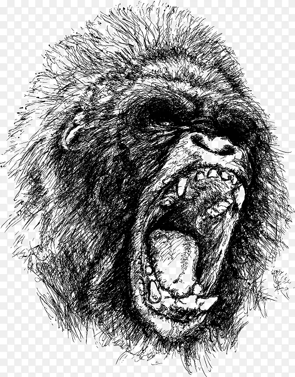 大猩猩类人猿金刚画愤怒-大猩猩素描