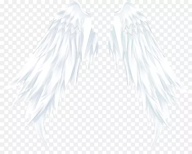 白色黑色图案-白色天使翅膀