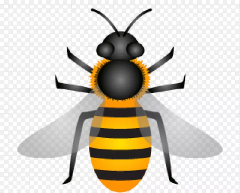 蜜蜂蜂蜜载体API Florea-天然蜂毒