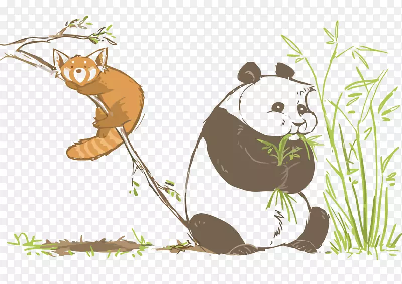 熊大熊猫红熊猫插图-大熊猫和熊猫