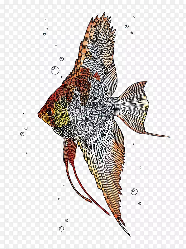 天使鱼纸热带鱼水彩画热带鱼