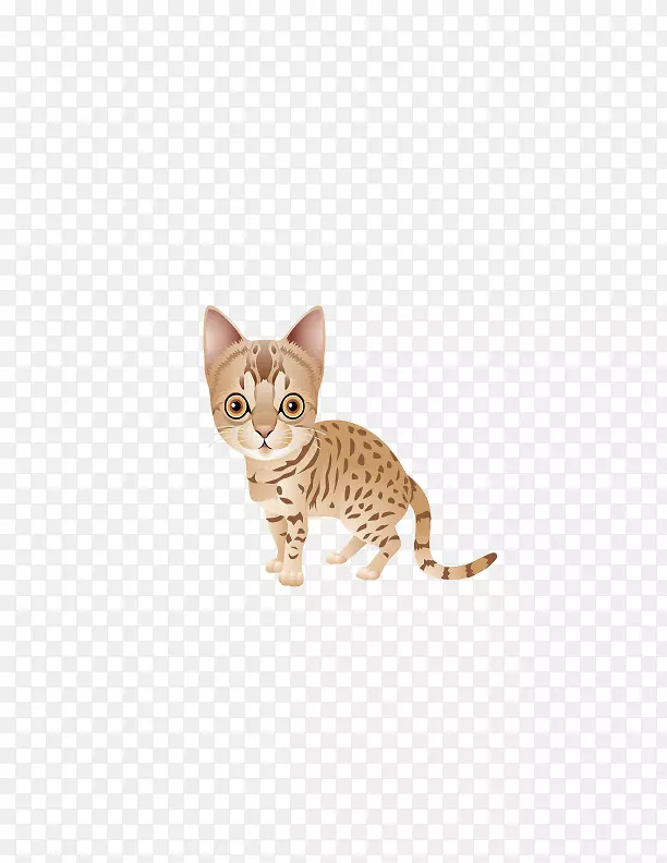 加州大草原猫