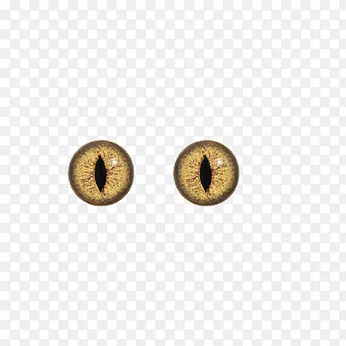黄铜圆圈图案-动物眼