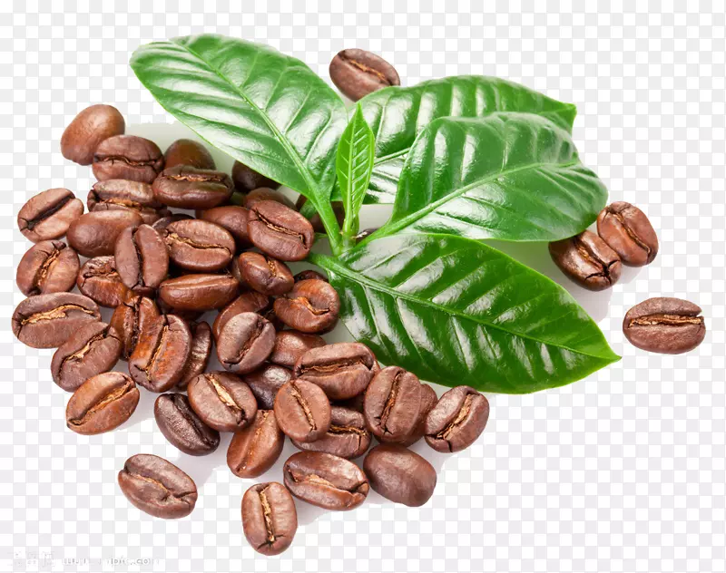 咖啡籽咖啡豆