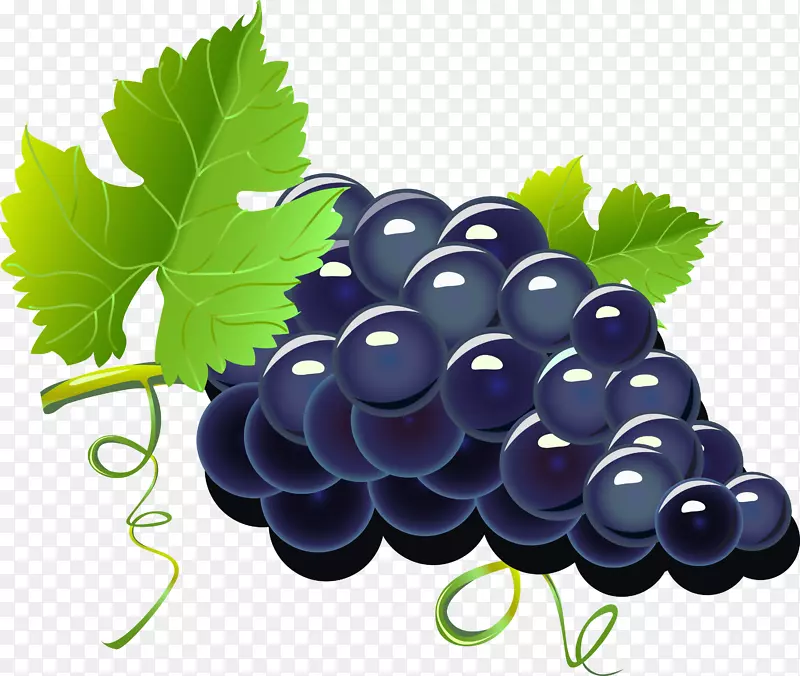 红酒葡萄卡通-紫色卡通葡萄