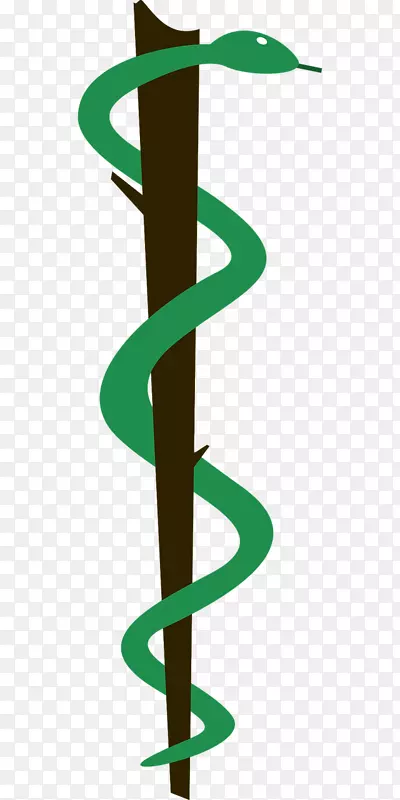 立陶宛健康科学大学医学标志-绿蛇