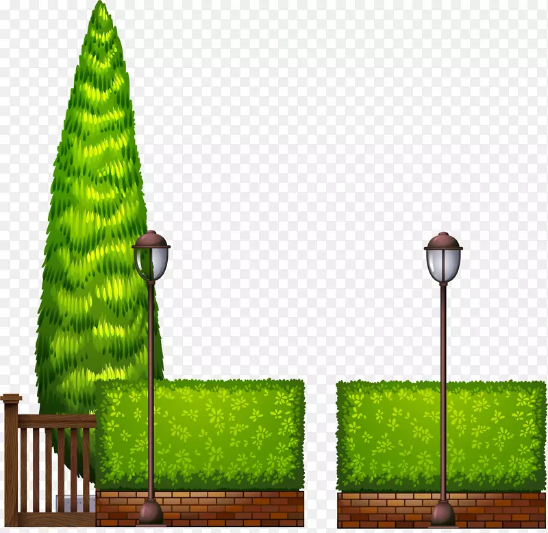 观赏植物室内植物插图.手绘路灯