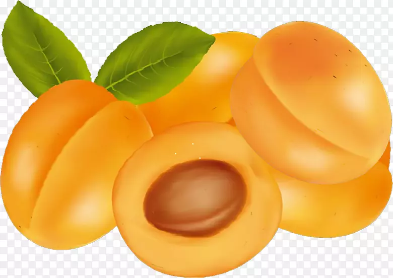 杏果金橘食品-杏