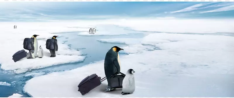 冰箱广告海报宣传-南极企鹅移动