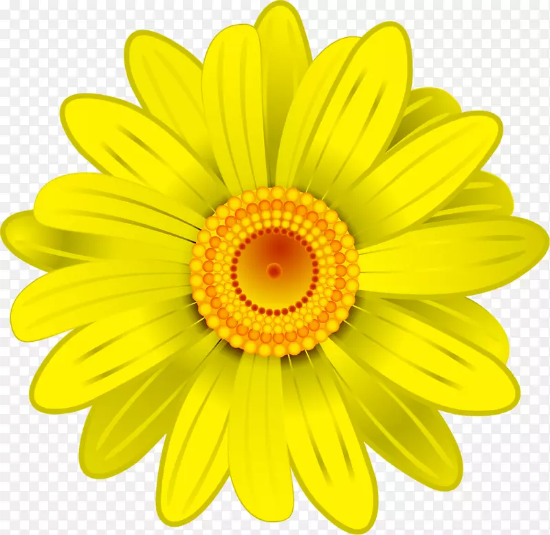 花特兰士瓦雏菊黄色剪贴画手绘黄色菊花