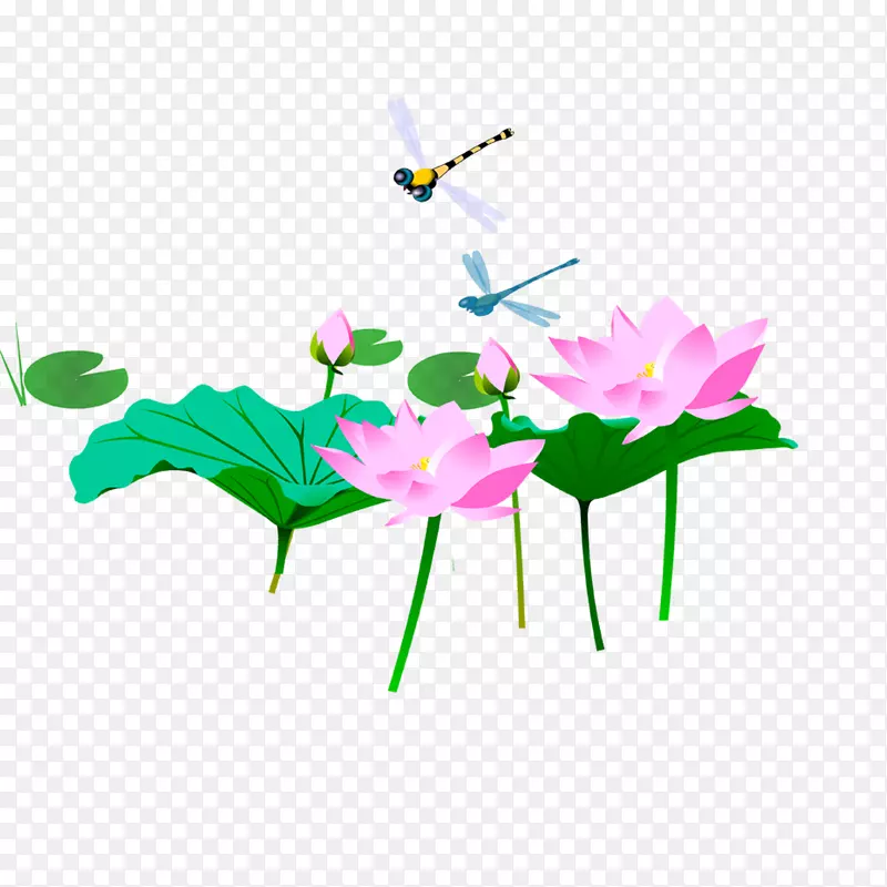 清明清明节-莲花蜻蜓