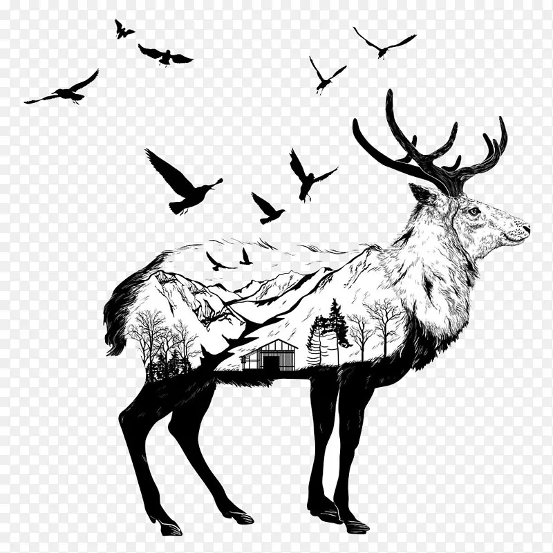 野生动物艺术插图.创造性山羊景观整合