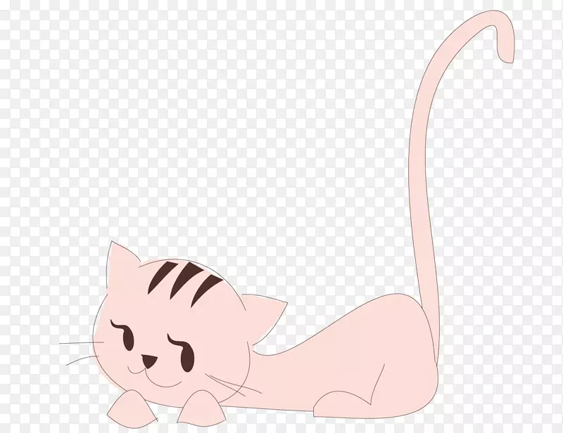 小猫须猫图-粉红猫