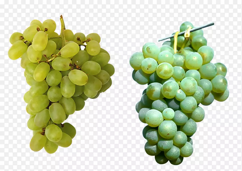 果汁儿童图片词典彩色水果葡萄-两束葡萄