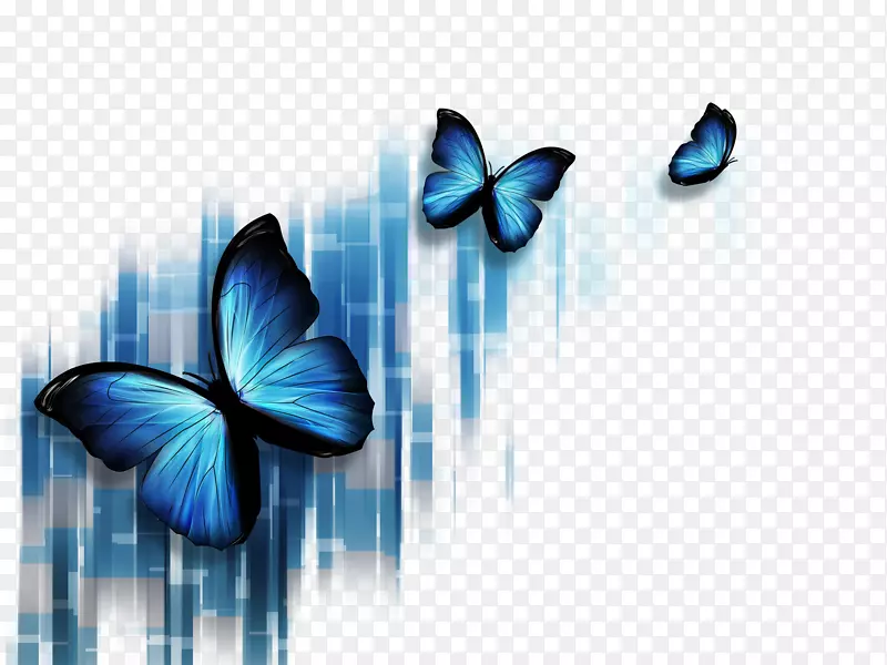 蝴蝶蓝色摄影微软PowerPoint插图-彩色蝴蝶