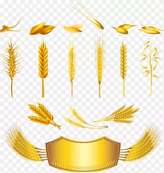 谷类小麦穗版税-免装饰小麦面包金标签