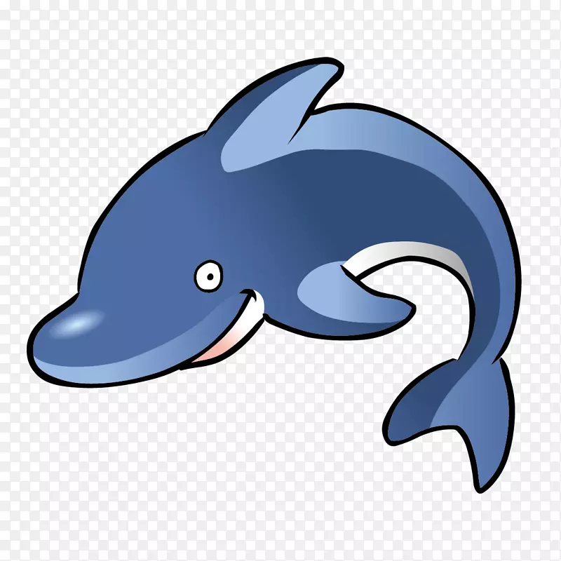 旋转海豚免费内容剪辑艺术蓝鲸
