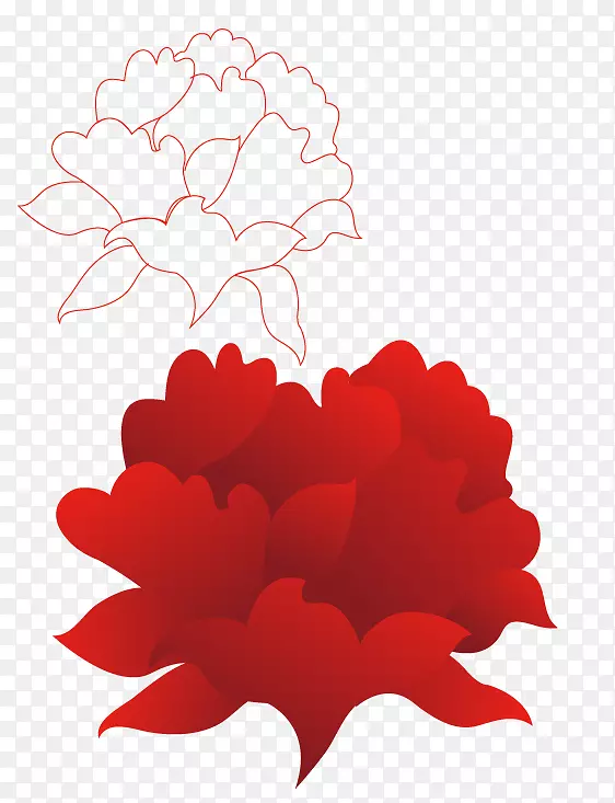 红色素描-大红花和线条画艺术作品