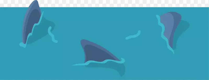 普通宽吻海豚海洋生物水鲨鱼水域