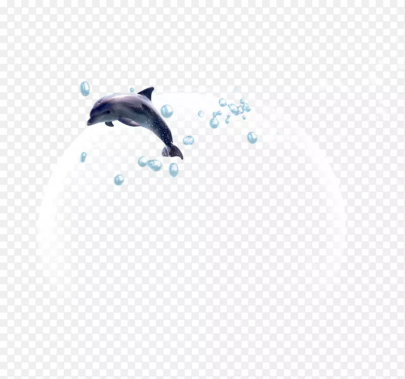 天空动物图案-水泡海豚