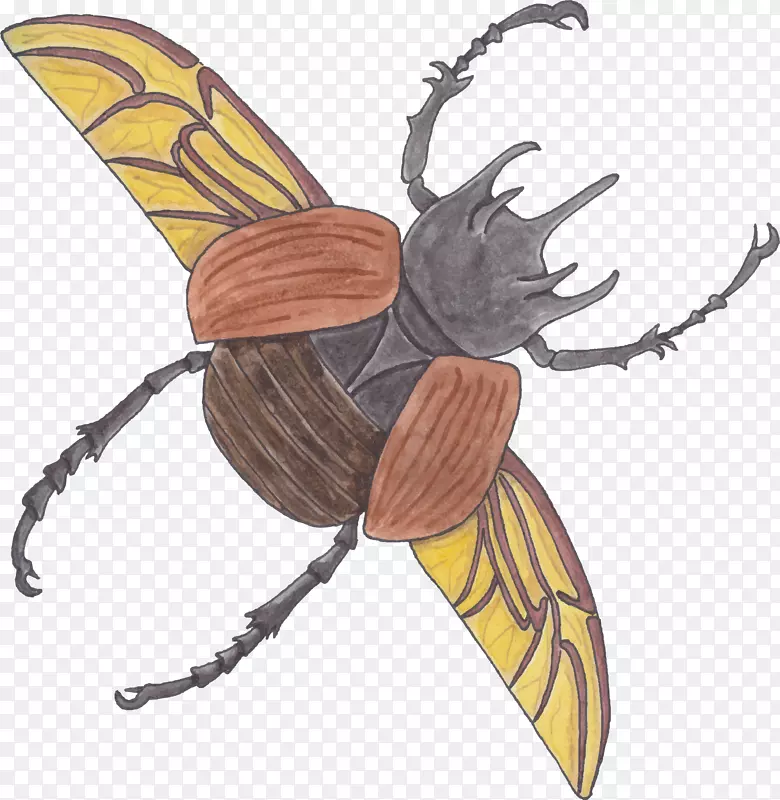 大众甲虫卡通-卡通甲虫