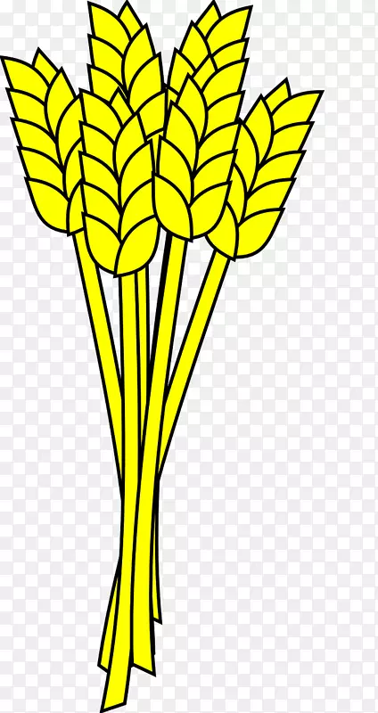小麦剪贴画-大麦黄