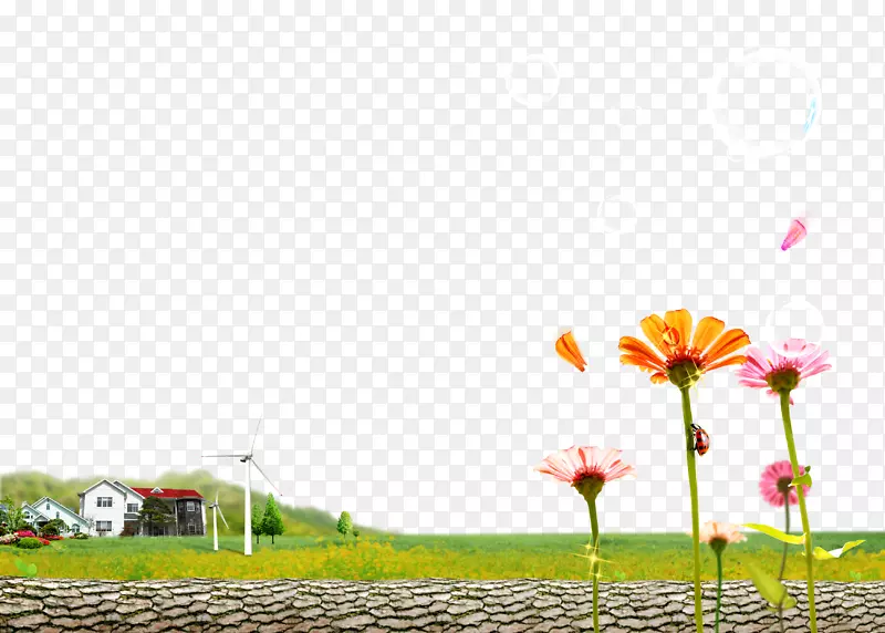 彩虹计算机文件-冷背景