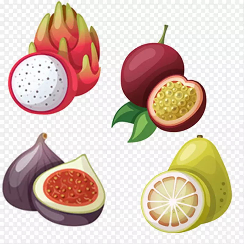 热带水果插图-龙果芒果西柚