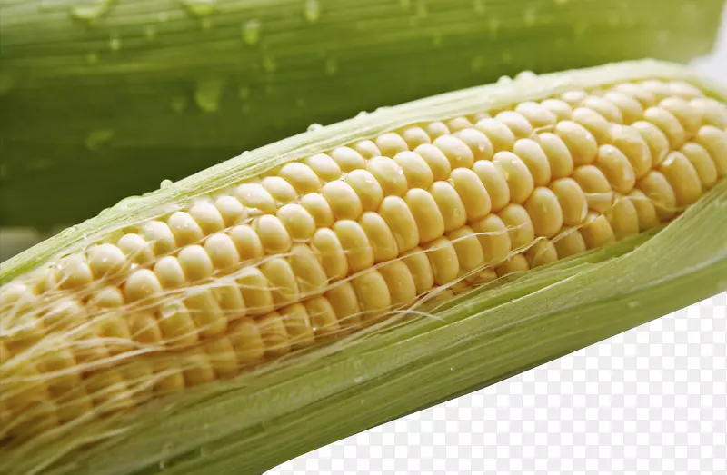 玉米上的玉米粮食作物谷歌图片-玉米