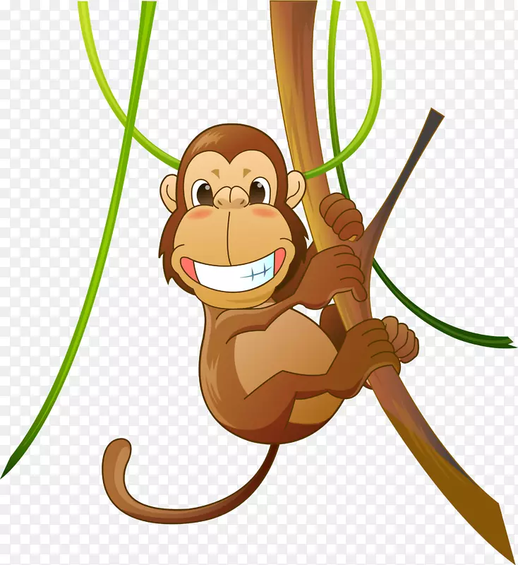 猿类新世界猴灵长类-载体猴
