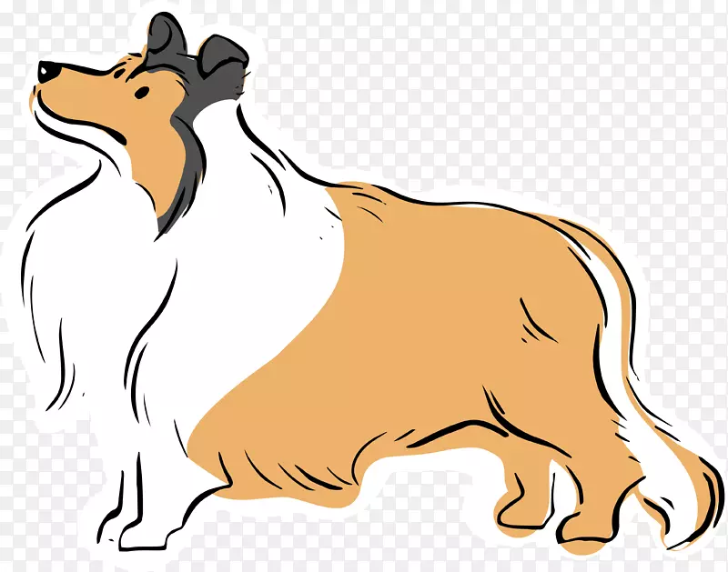 法国斗牛犬粗野牧羊犬约克郡猎犬品种-可爱的宠物小狗