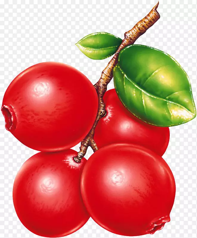浆果馅果脯-红色蓝莓