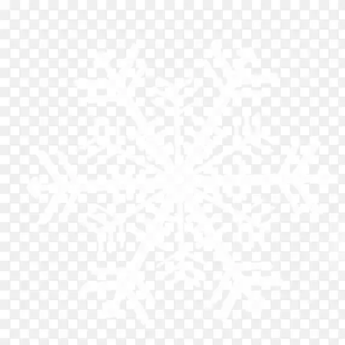 白色黑色图案-雪花