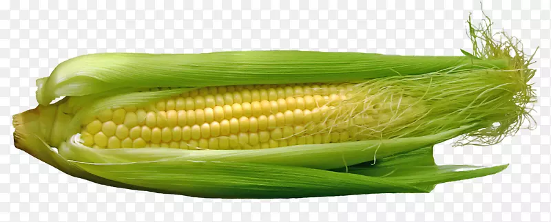 玉米La mazorca-玉米