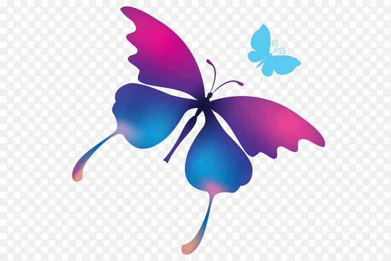 蝴蝶昆虫卡通插图-紫色蝴蝶夹