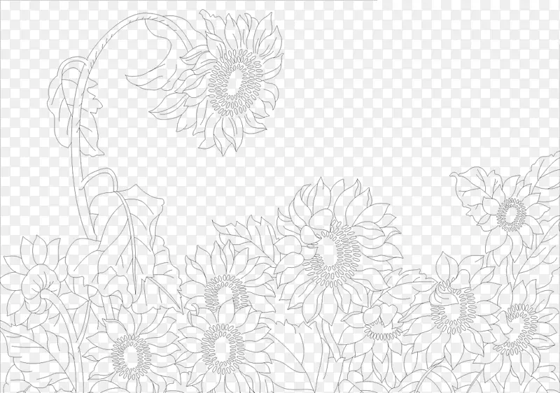 黑白图案-向日葵照片