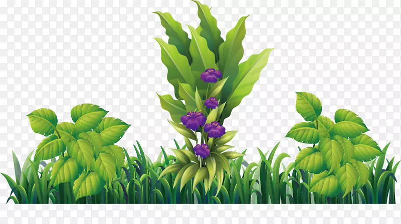 紫色设计师-草地上的紫色花朵