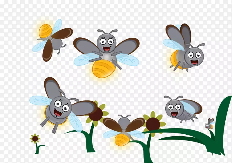 昆虫萤火虫媒介蜂