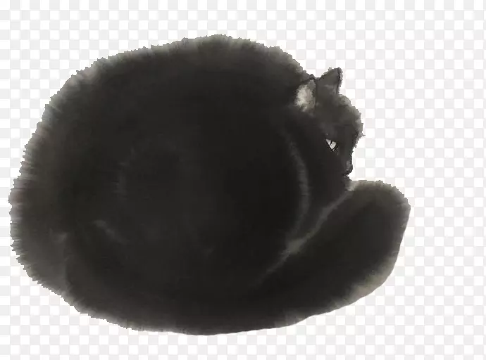 黑猫猫科胡须-卷曲黑色