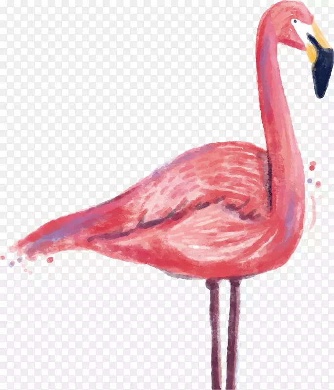Flamingo版画印刷.起重机喷墨材料