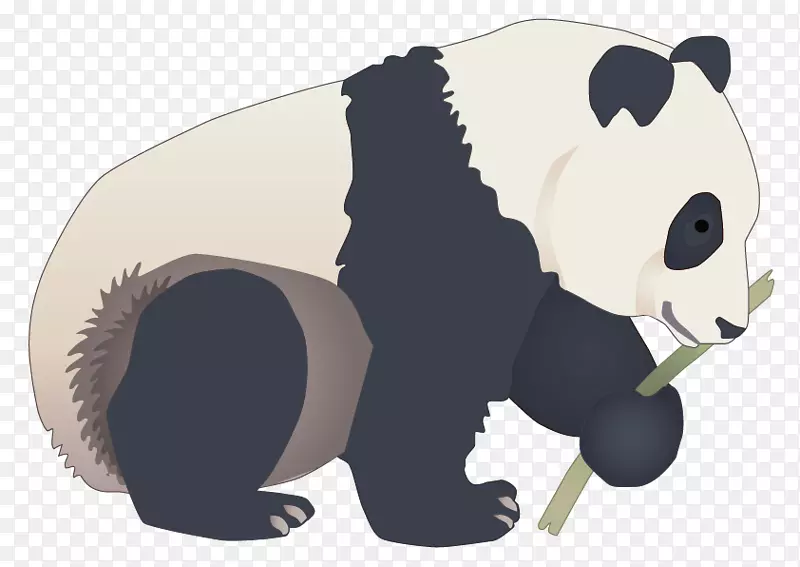 大熊猫-载体熊猫