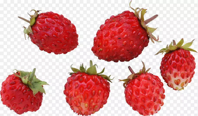 麝香草莓野生草莓-很多覆盆子