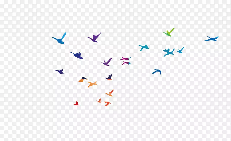 鸟类飞行普通鸥-简单飞行鸟