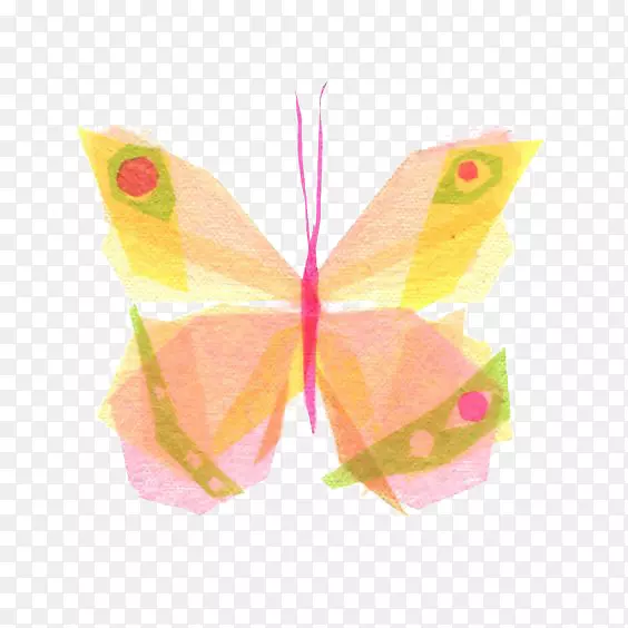 蝴蝶纸昆虫画红花蝶