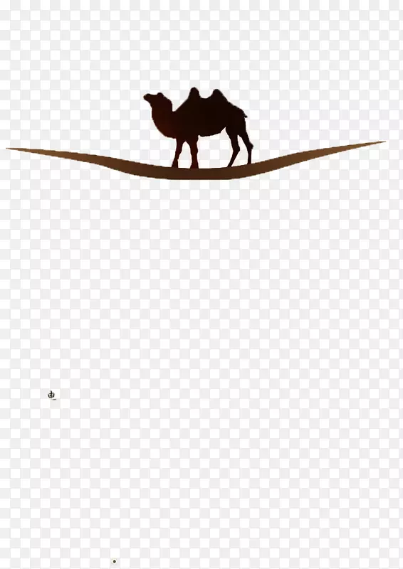 地板-步行骆驼