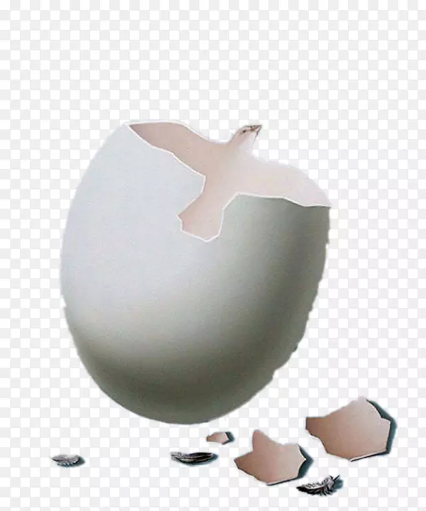 鸡蛋谷歌图片-创意插图-鸽子和蛋壳