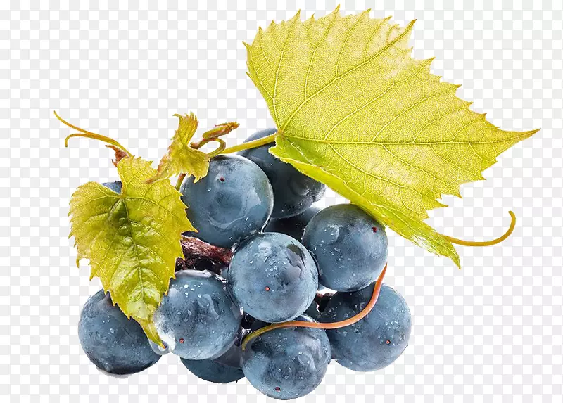 果汁、葡萄酒、葡萄籽提取物-一串葡萄