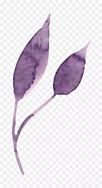 紫叶花瓣