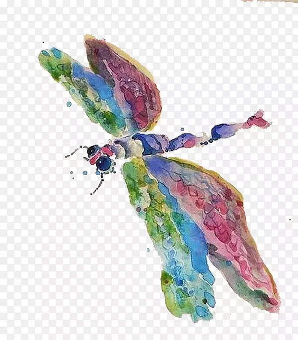 水彩画动物腾讯QQ化身插图-彩色水印蜻蜓